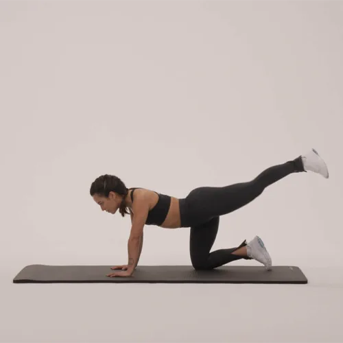 videos image 1